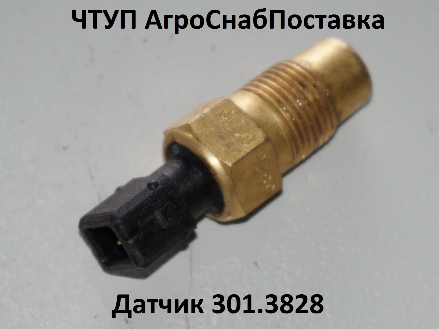 Датчик Т301.3828