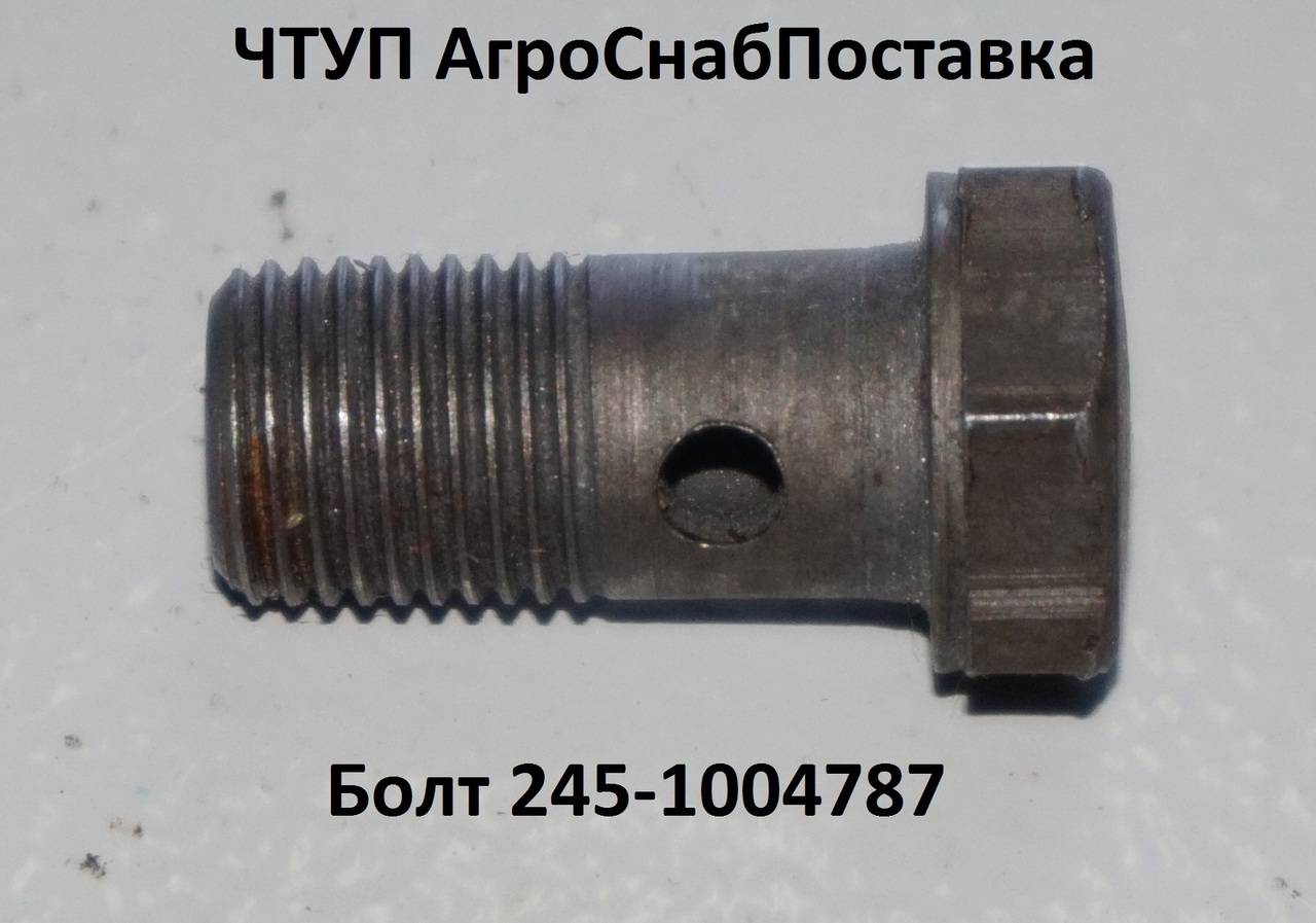 Болт 245-1104787