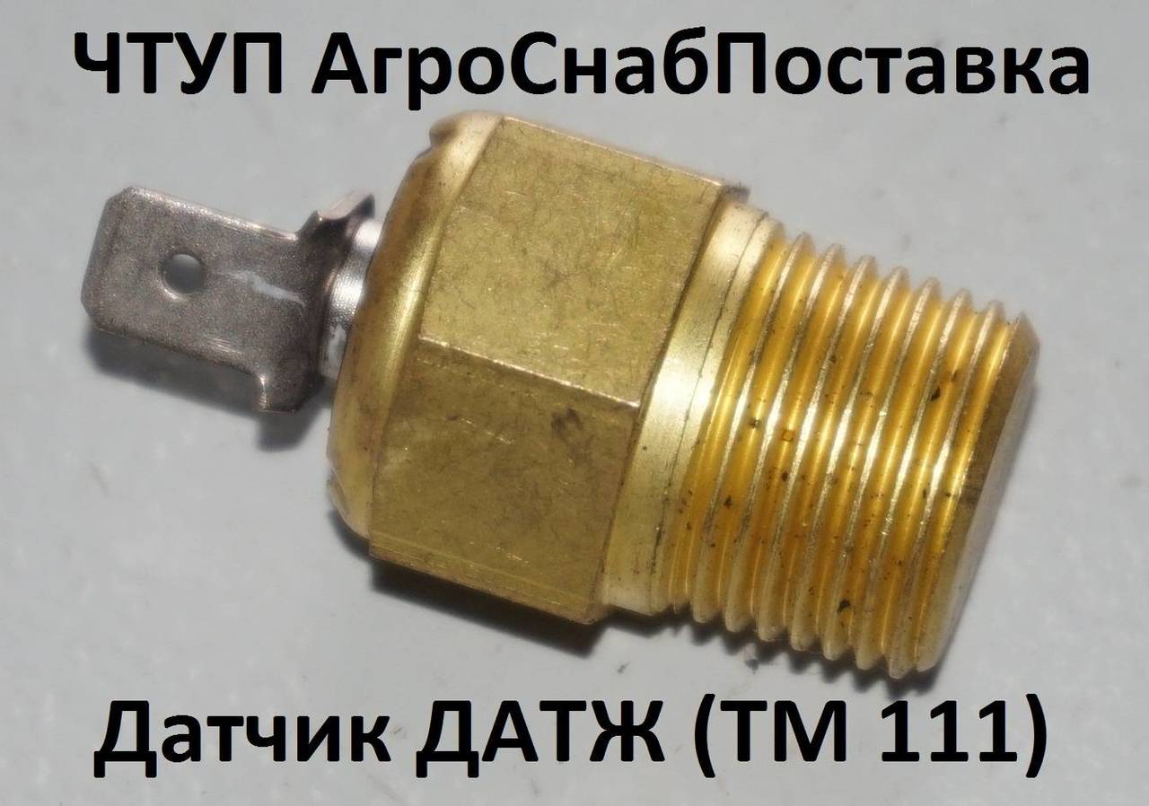 Датчик ДАТЖ (ТМ111)