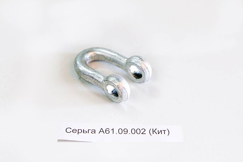 Серьга А61.09.002 (Кит)